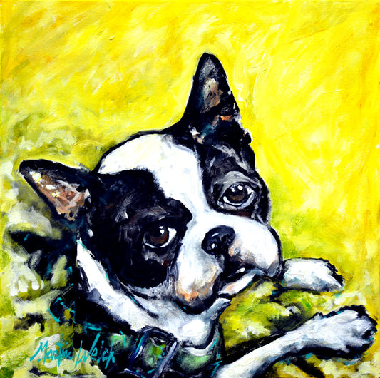 "Snuggle Blanket" Original painting of a Boston Terrier 20"x20"