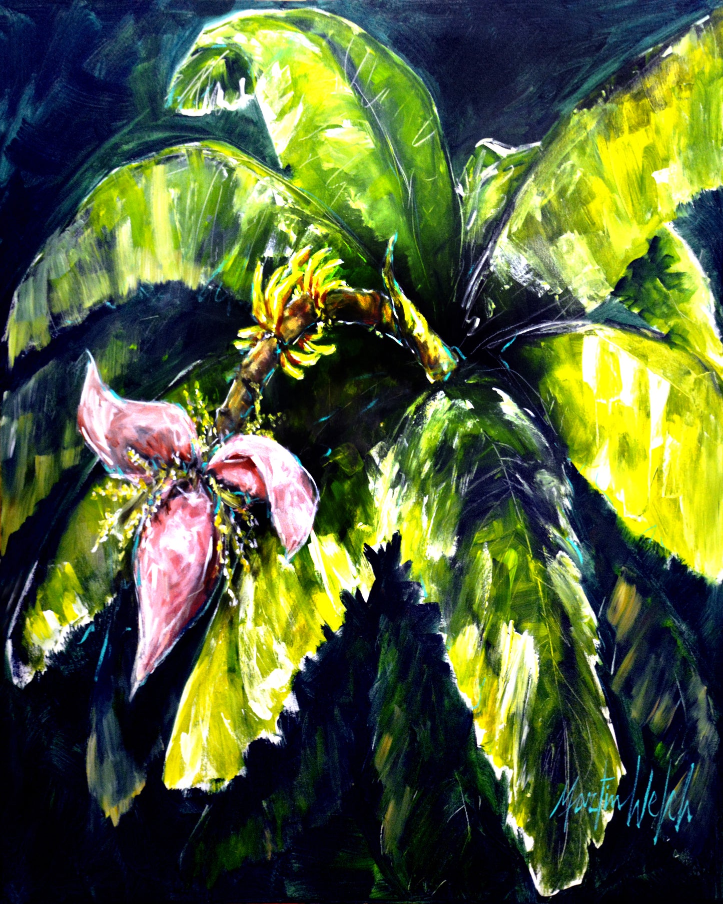 Banana Fana - Banana Tree - 11"x14" Print