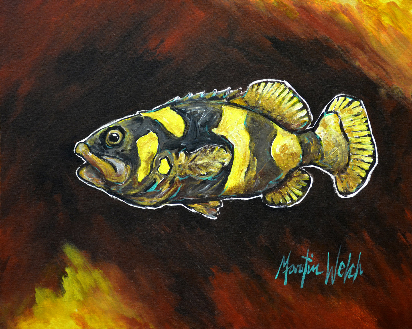 Bumble Bee Fish - Fish - 11"x14" Print