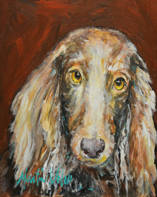 Cabernet - Long Haired Dachshund - 11"x14" Print