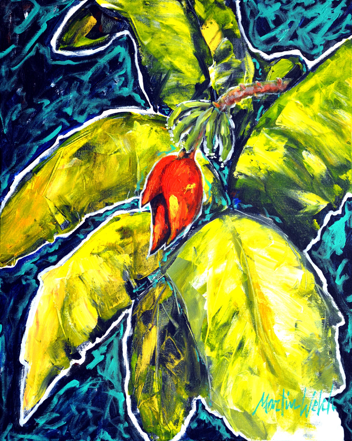 Green Bananas - Banana Tree - 11"x14" Print