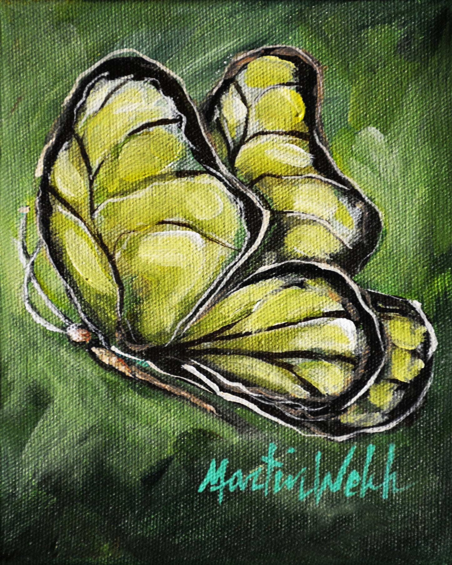 Green Butterfly - Butterfly - 11"x14" Print