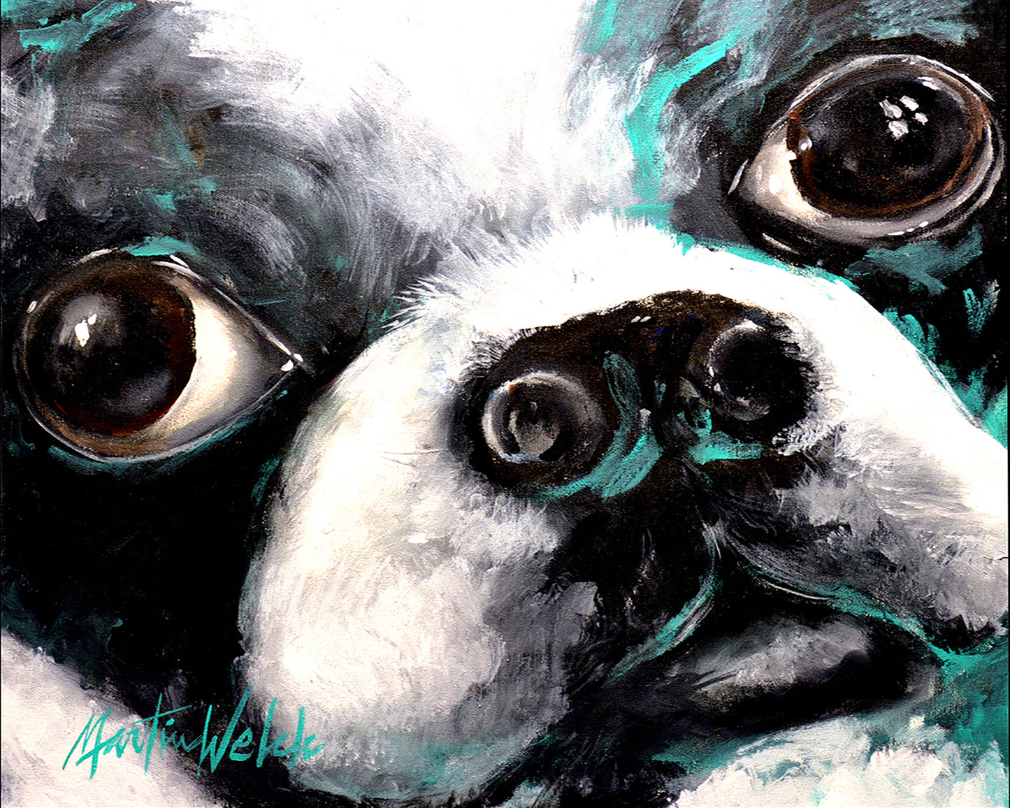 Pretty Please - Boston Terrier Face - 11"x14" Print