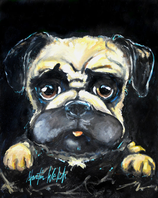 Pug It Out - Pug Dog - 11"x14" Print