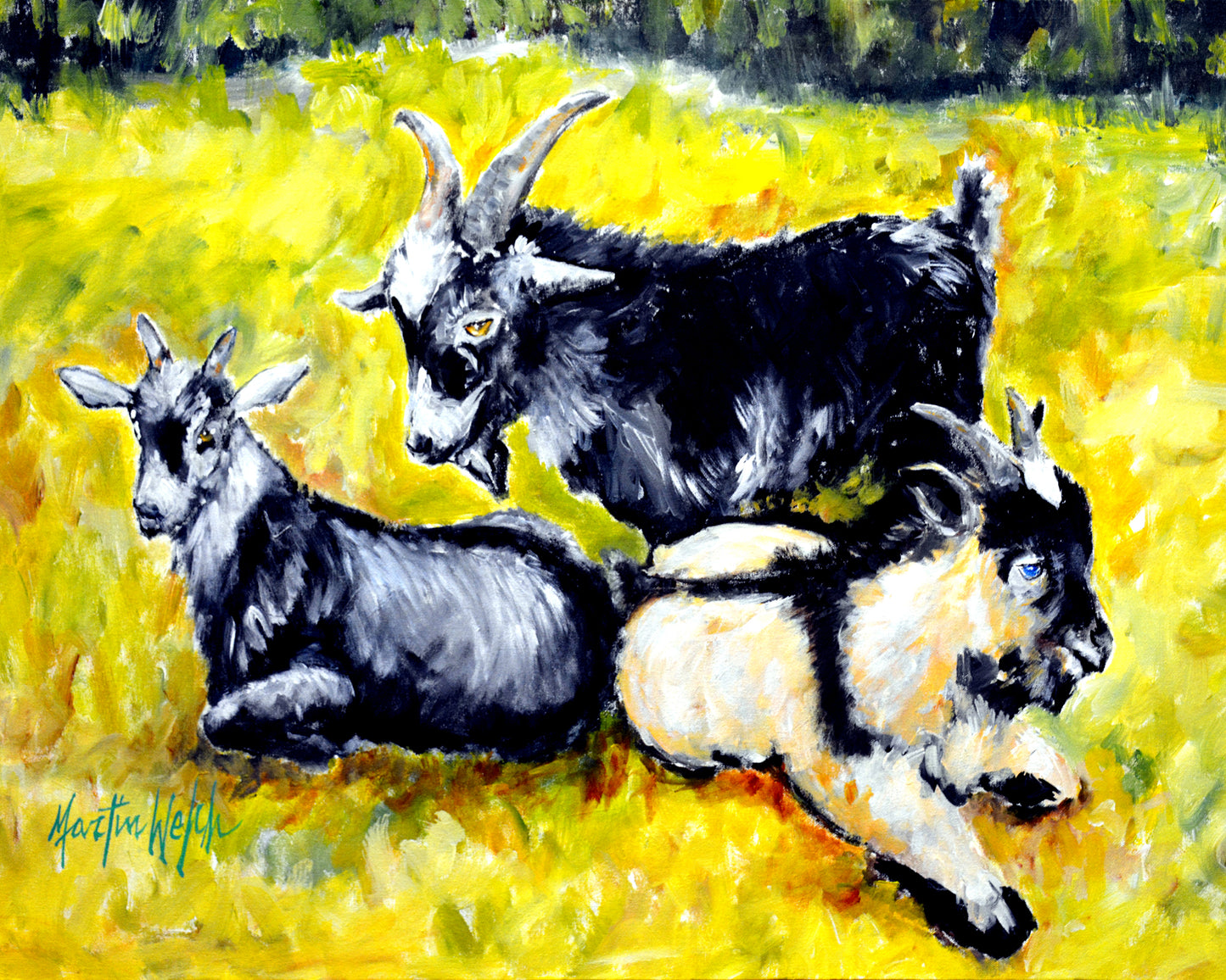 Scooter, Pooter, Tooter - Goats - 11"x14" Print