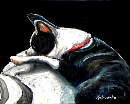 Spot In The Sun - Boston Terrier - 11"x14" Print