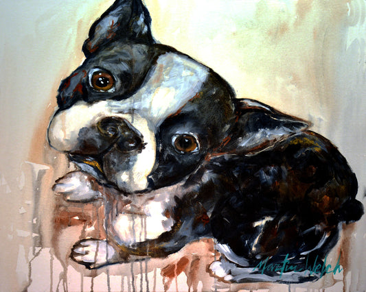 The Look - Boston Terrier - 11"x14" Print