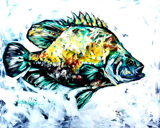 Triple T - Triple Tail Fish - 11"x14" Print