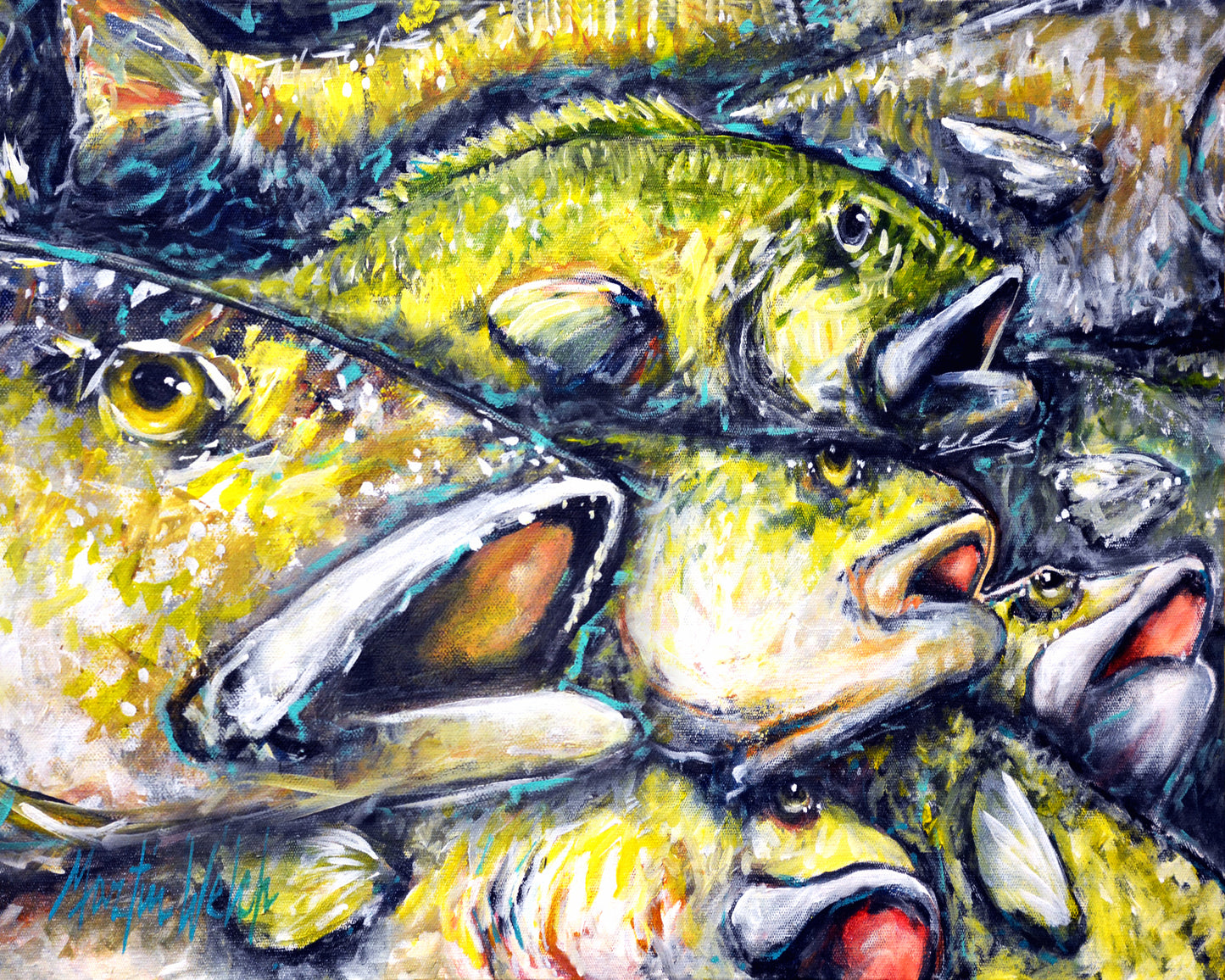 Trout Cooling - Trout Fish - 11"x14" Print