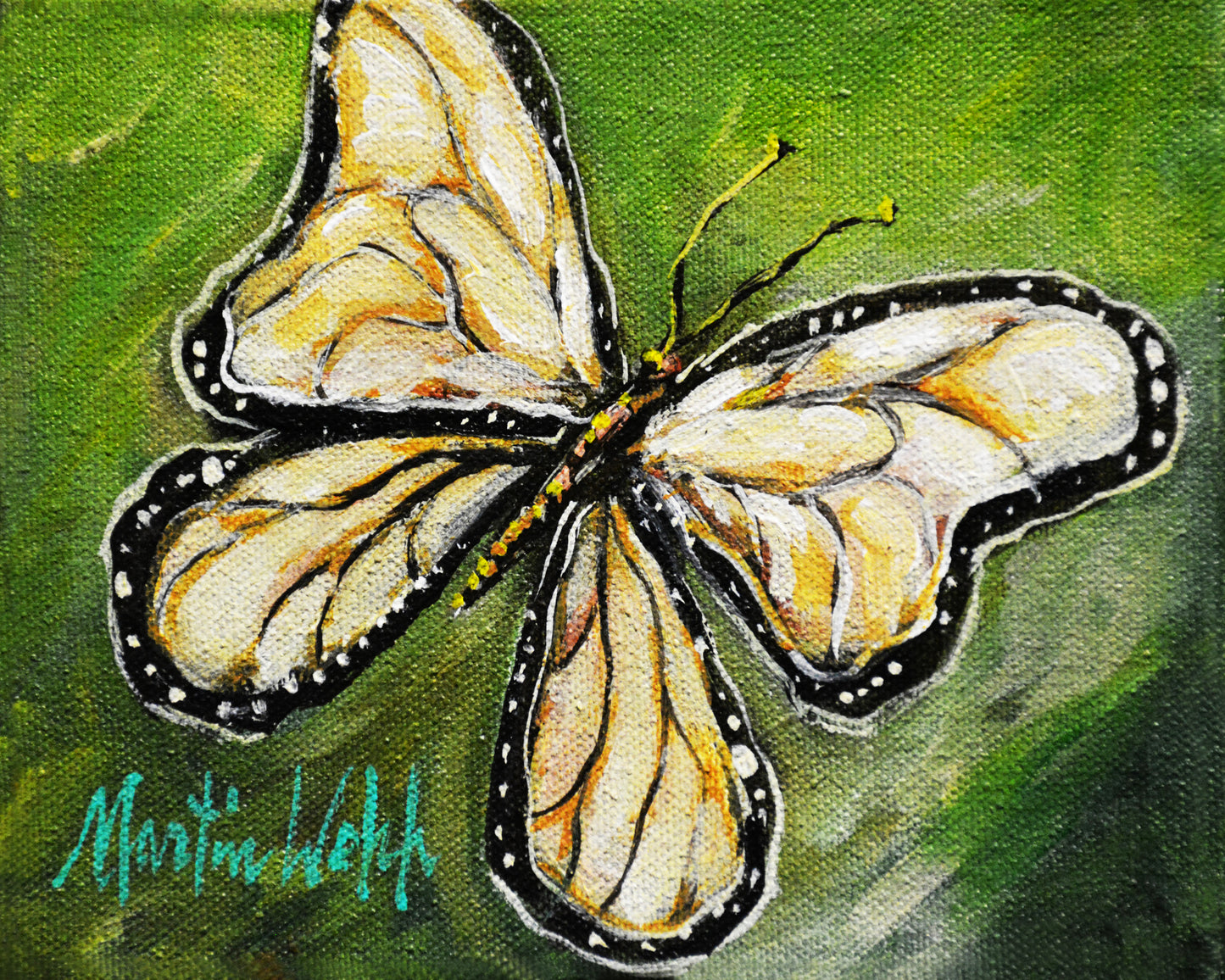 White Butterfly - Butterfly - 11"x14" Print