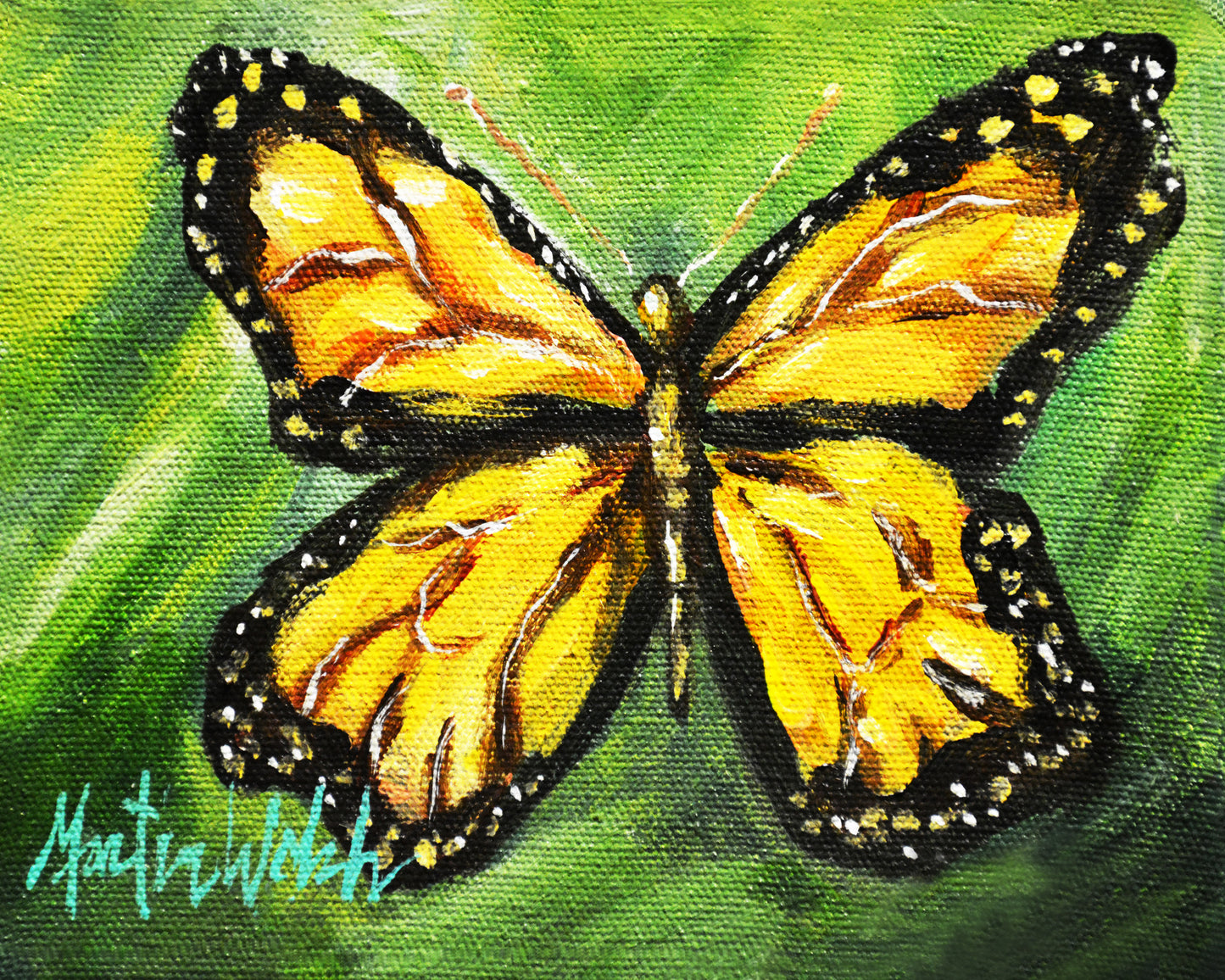 Yellow Butterfly - Butterfly - 11"x14" Print